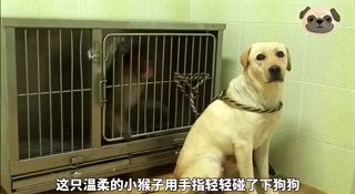 大白和躺匪之间的友谊也是如此