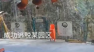 近日，一位网友讲述自己如何从广西桂林的戒网瘾学校逃跑的经历