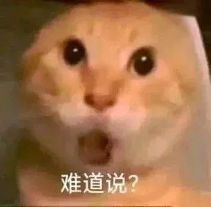 致敬十八轰炸队！虽然天天乳包，但比起腊肉家族，还真是包包好，属于是两坨屎里面比哪坨味道淡了😞话说，😋会有人吃着蛋炒饭，看华为发布会吗🕶️ 匿名投稿致敬十八轰炸队！虽然天天乳包，但比起腊肉家族，还真是包包好，属于是两坨屎里面比哪坨味道淡了😞话说，😋会有人吃着蛋炒饭，看华为发布会吗🕶️ 匿名投稿