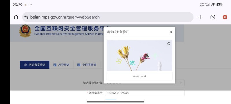 验证码欠摘了
