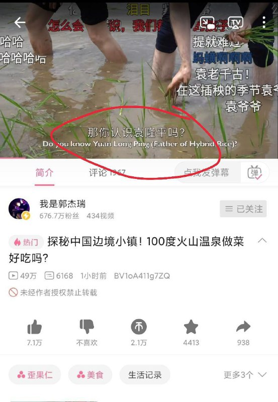 警惕境外势力以色列🇮🇱MCN机构Y-Platform签约艺人美国🇺🇸犹太人郭杰瑞吃人血馒头😡😡😡！