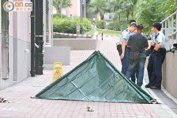 什么香港夜缤纷🤣By
