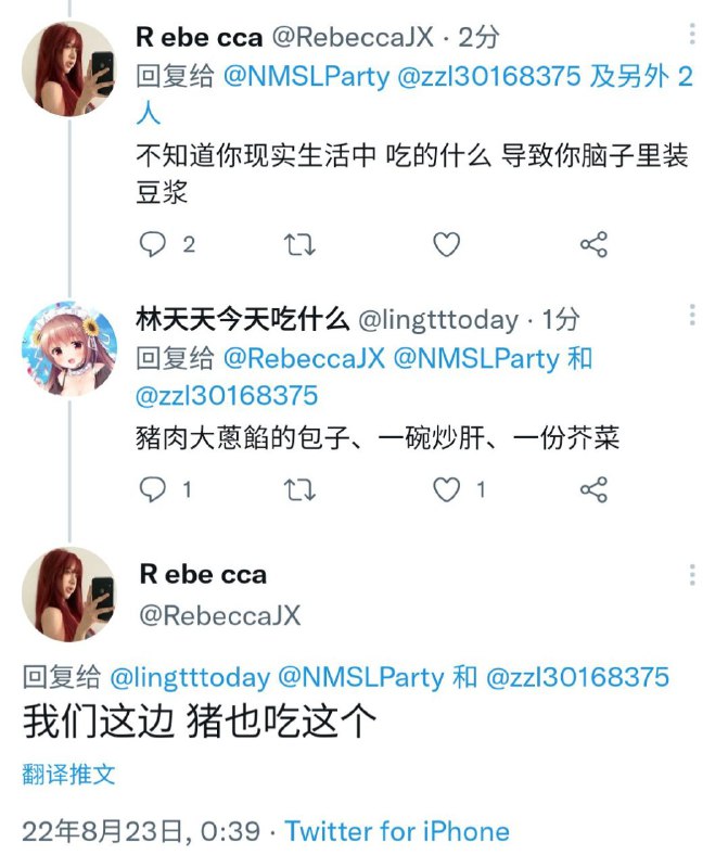 反华分子在冒充我们爱国人士传送门