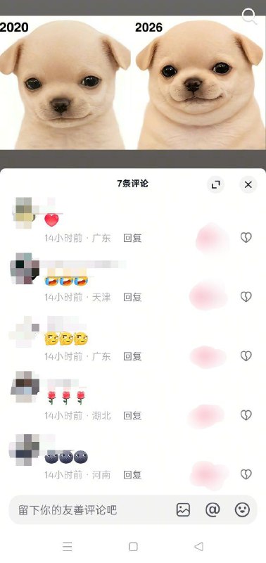 #新皮肤 ：发胖小狗
