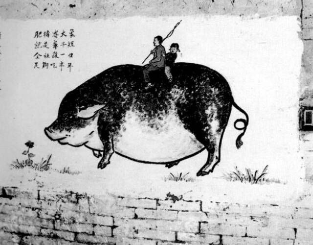 这些都是罪证啊！投稿by