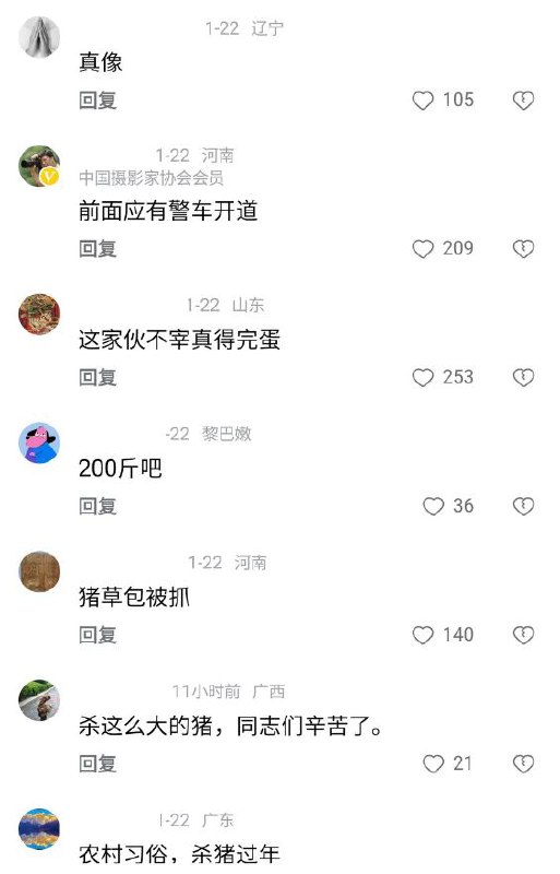 评论区胆子有点大啊评论区胆子有点大啊