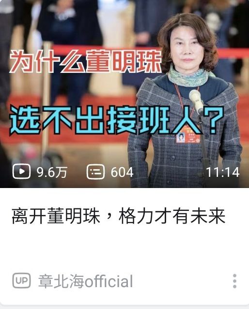 新皮肤：董明珠