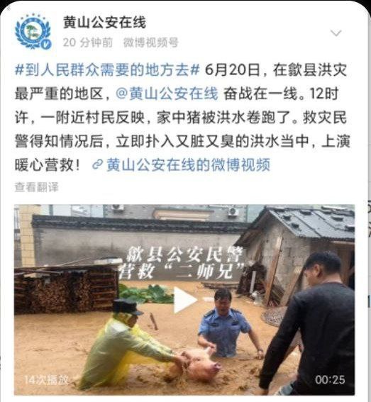 包包大人偷偷跑去喝咖
