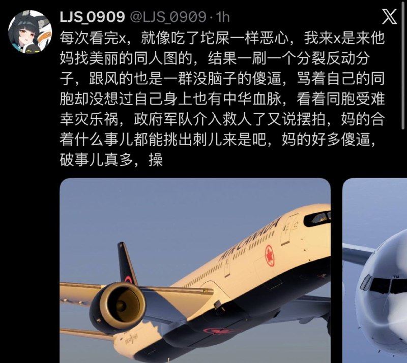 操你妈我上推特是来打飞机的，不是看你们乳滑的😎 匿名投稿