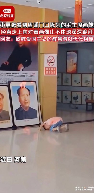 毛粉要从小开始培养，小孩这辈子算是真的有了，期待他以后举报献祭自己的父母😁😁By