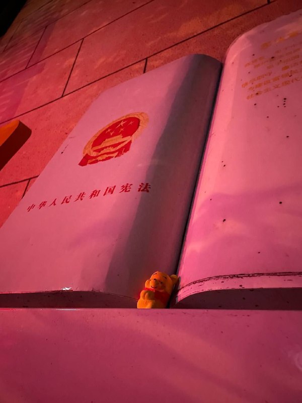 维尼躺在宪法上🥰投稿By