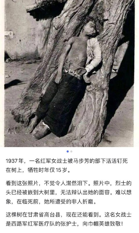 这就是给共产党当狗的下场By