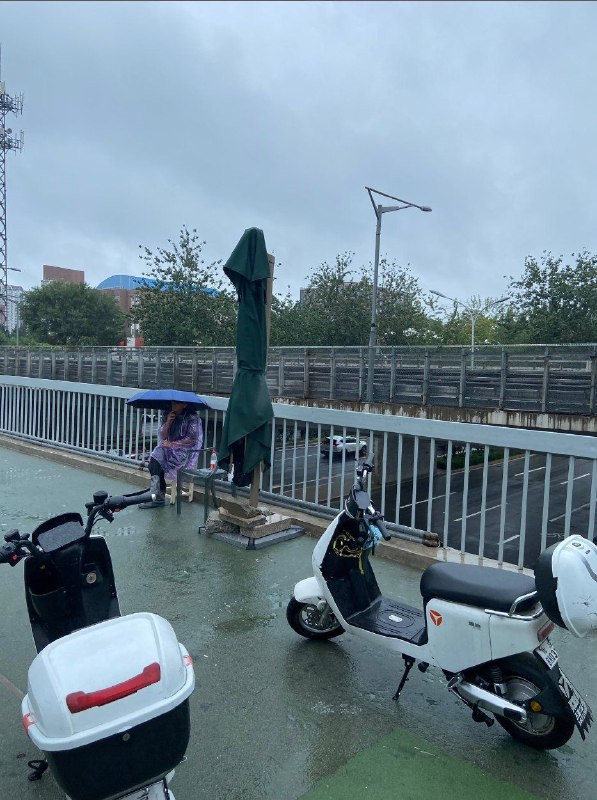 北京 · 暴雨中坚守岗位的守桥员投稿By